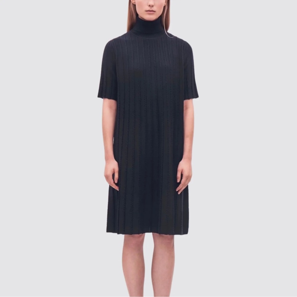Cos scallop pleated wool knit dress
